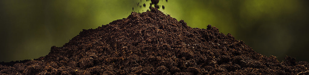 Building a Healthier Soil